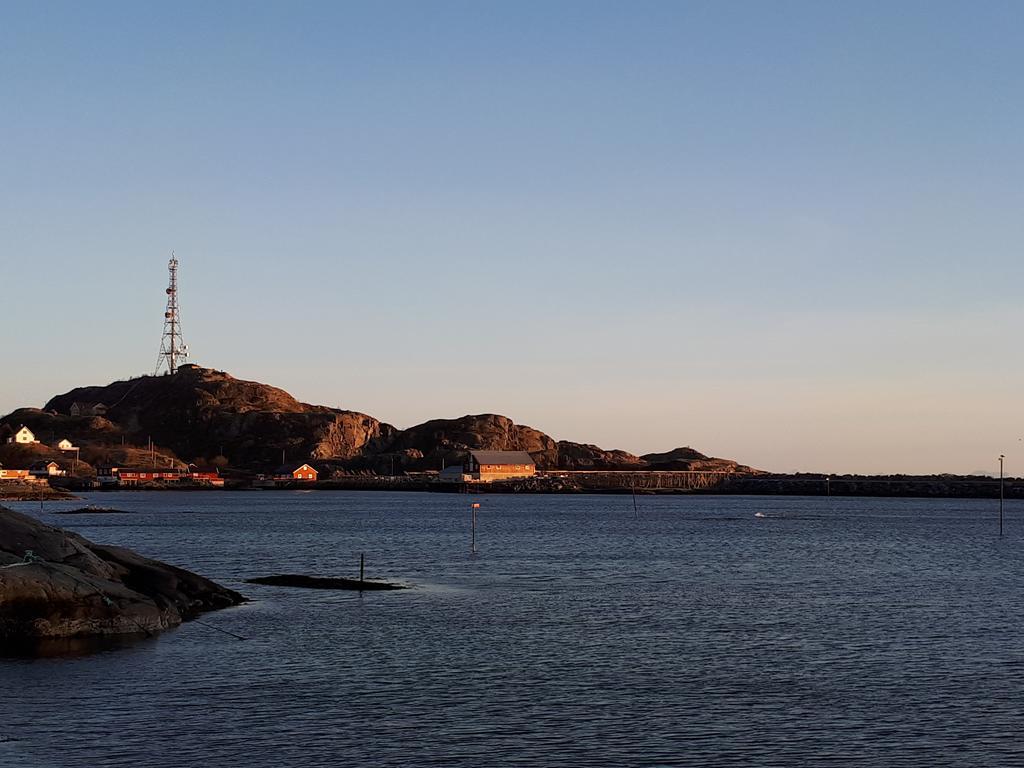 Sjohaug Rorbu Apartamento Moskenes Exterior foto