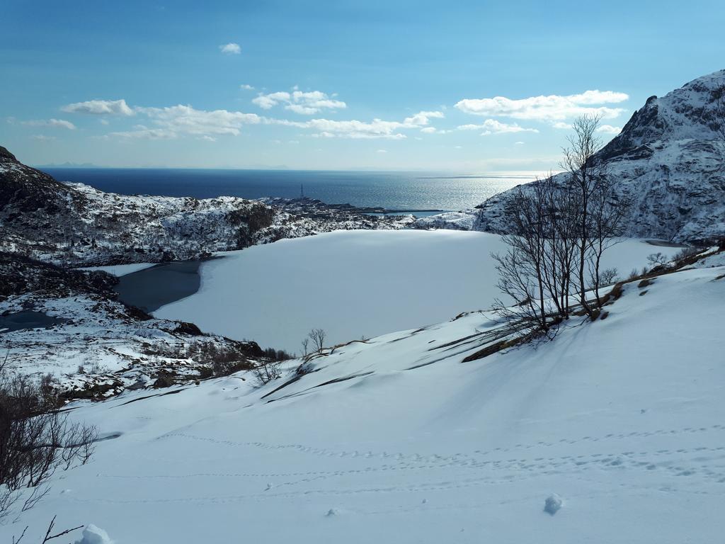 Sjohaug Rorbu Apartamento Moskenes Exterior foto